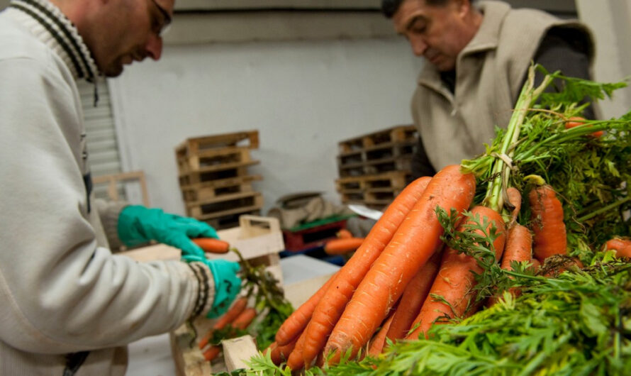 L’Assemblée adopte à l’unanimité des mesures de lutte contre le gaspillage alimentaire