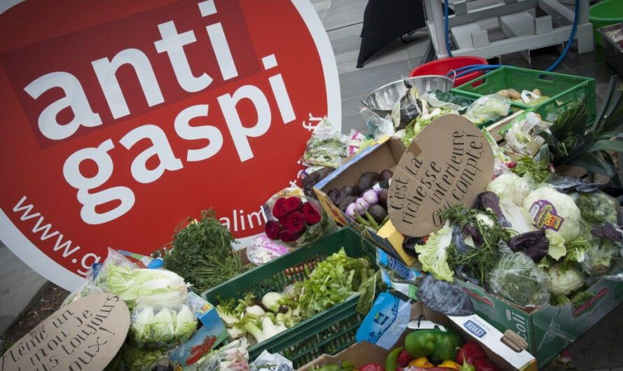 Lutte contre le gaspillage alimentaire : on y croit fort !