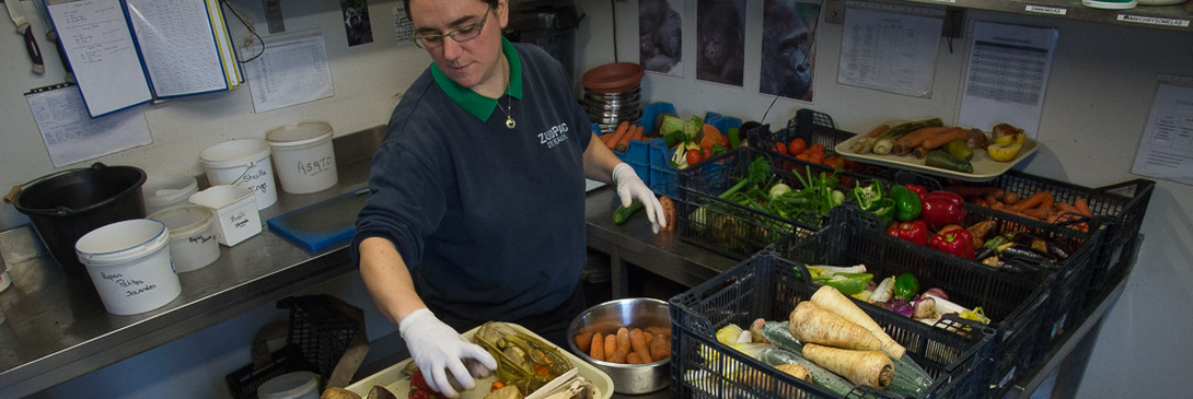 Préparation des denrées alimentaires pour les gorilles