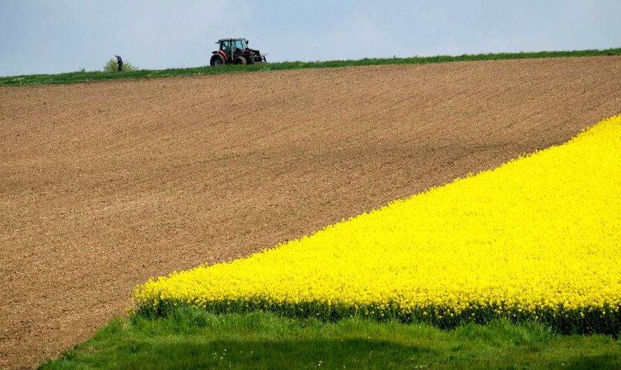 Solaal au rendez-vous pour gérer les dons alimentaires