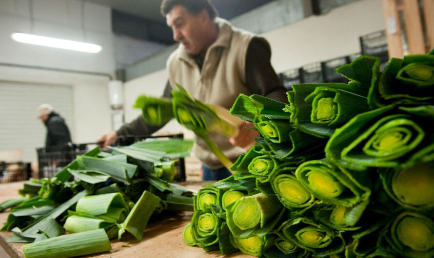 Économie solidaire : les consom’acteurs gourmands des soupes BON et Bien