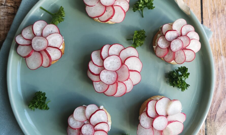 Amuse-bouche chèvre frais/radis