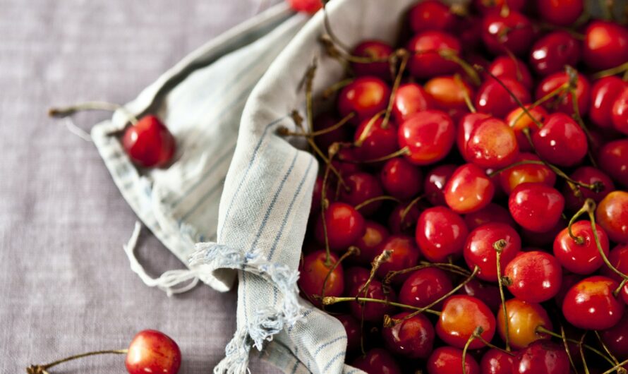 Comment congeler les cerises ?