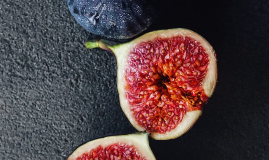 Comment faire des figues séchées ?