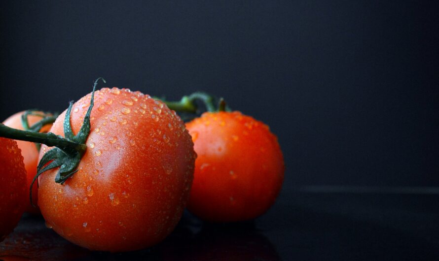 Comment cuisiner la tomate de A à Z ?