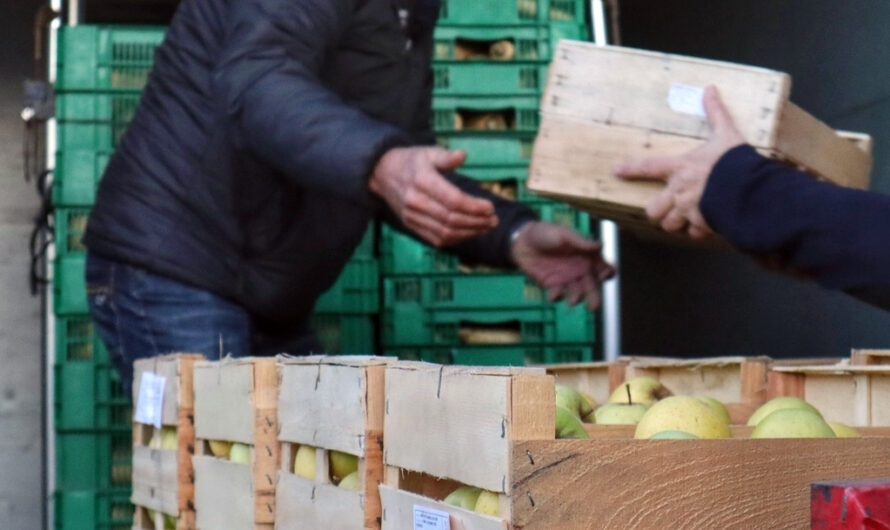 Conseil national de l’alimentation : un nouvel avis sur la substitution des contenants composés de plastique en restauration collective