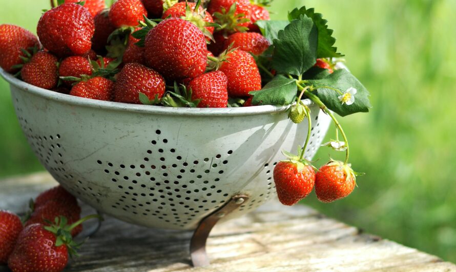 Que faire avec des queues de fraises ?