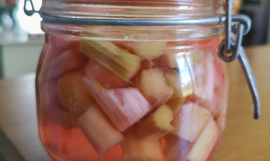 Pickles de rhubarbe