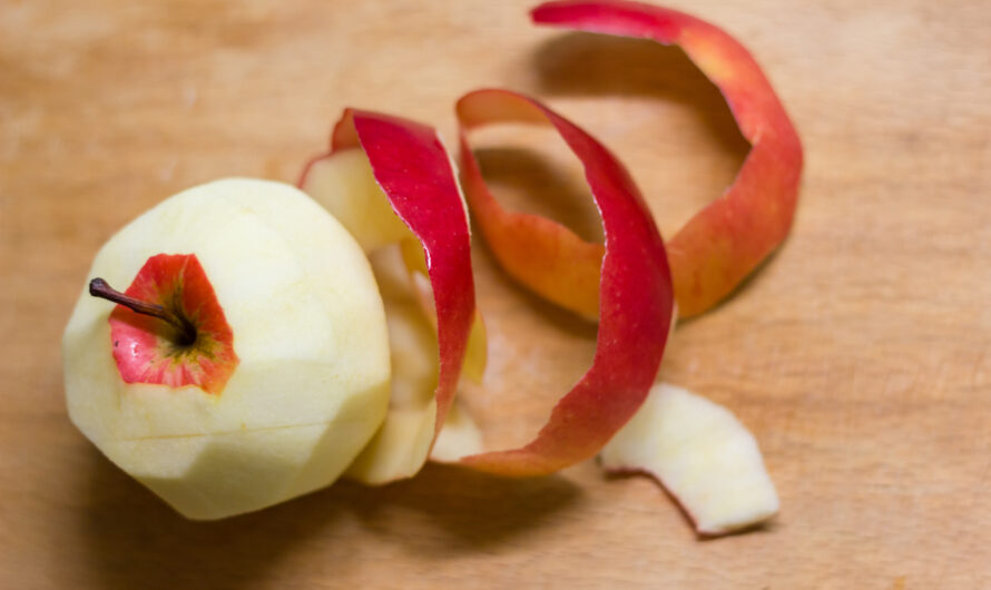 Chips d’épluchures de pommes